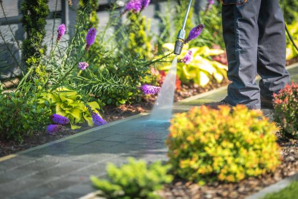 Best Patio and Deck Pressure Washing  in Wellington, KS